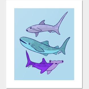 Watercolor Sharks Posters and Art